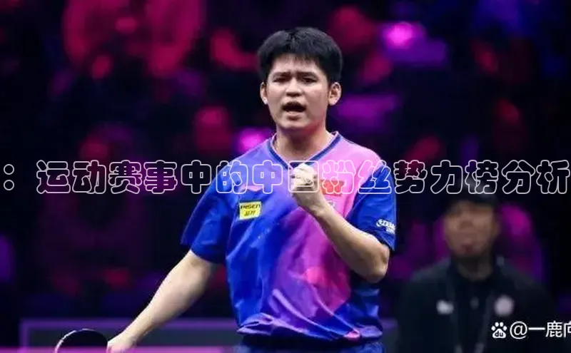 ：运动赛事中的中国粉丝势力榜分析